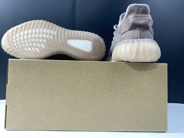 V2 350 Yeezy Boost Mist Adidas Mono GW2871 0503